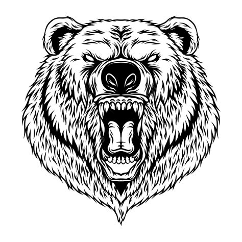 bear head outline png