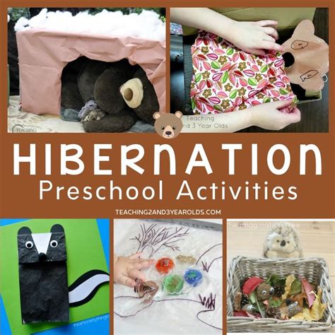 bear hibernation activities for preschoolers