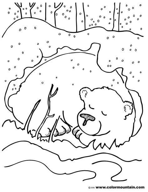 bear hibernation coloring pages printable