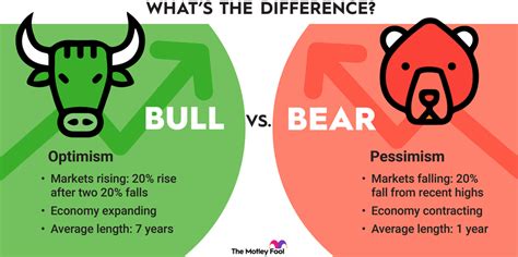 bear in economics