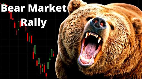 bear market rally