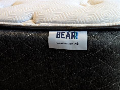 Bear Mattress Problems