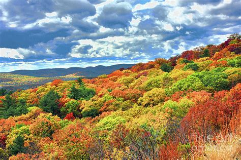 bear mountain fall foliage