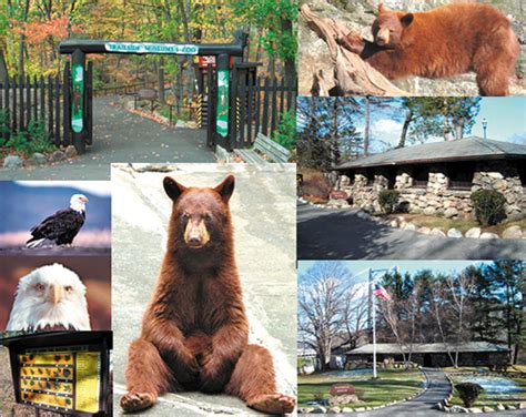 bear mountain zoo hours