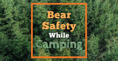 Bear Precautions While Camping