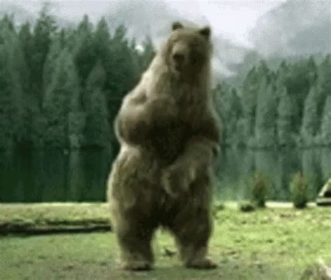 bear xxx dancing