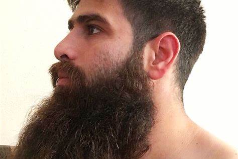 beard gay term