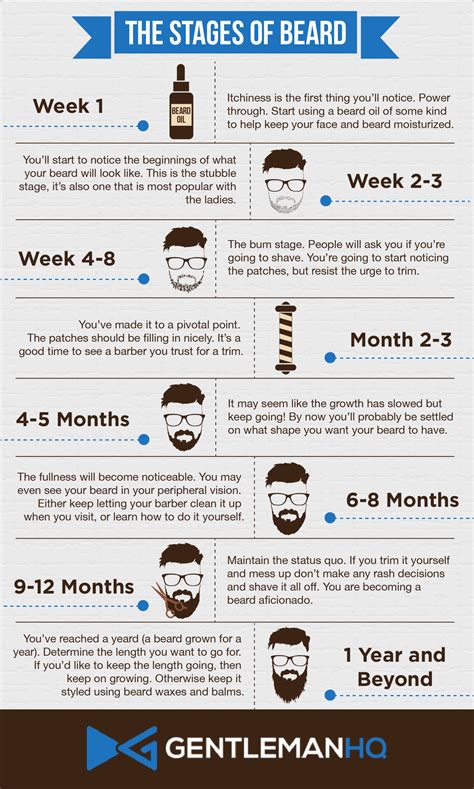 Beard Growth Cycle