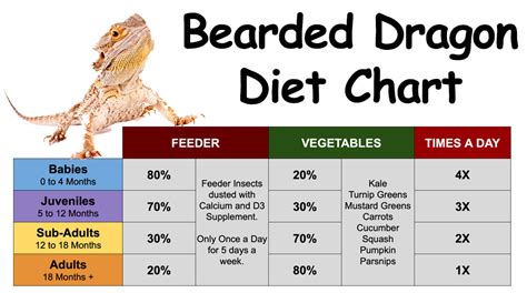 bearded dragon food chart