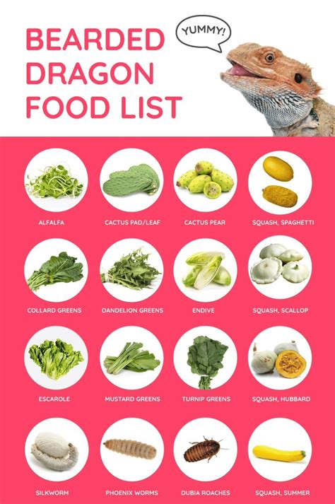 bearded dragon lizard food list