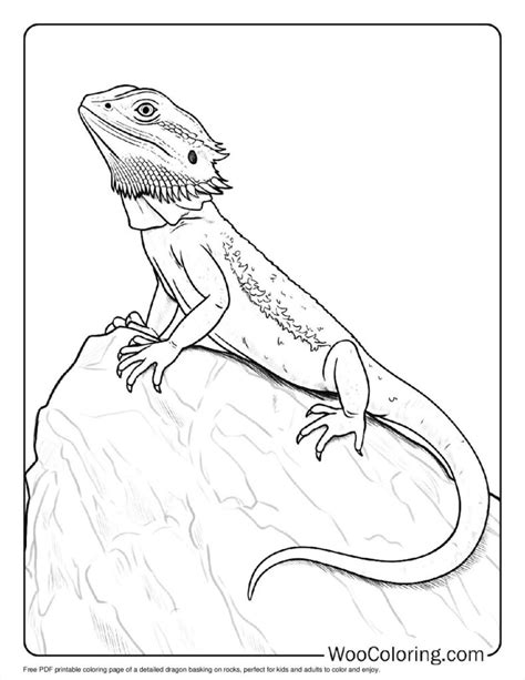 Bearded Dragon Printable