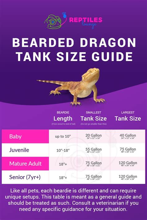bearded dragon tank size