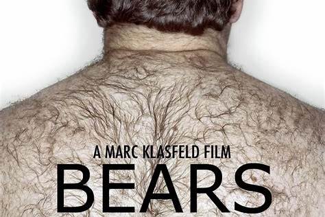 BEARS GAY FILM