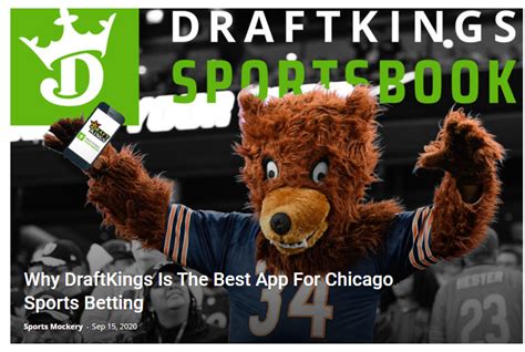 bears news sports mockery humor