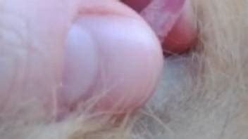 Best Animal Encounter Videos: Beast Porn Clips for Nature Lovers