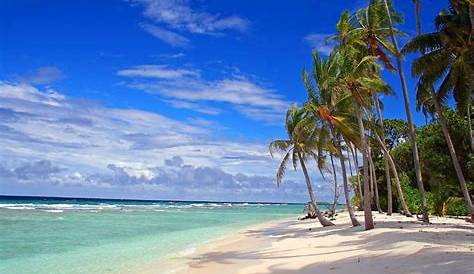 Beautiful Deserted Beaches Wild Tropics In Sri Lanka