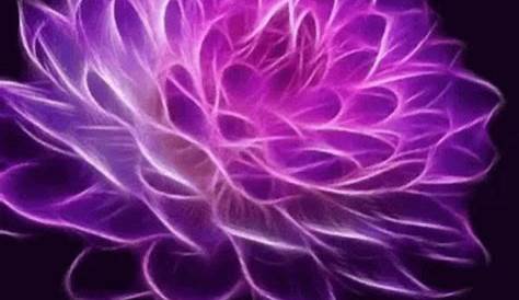Purple Flowers GIF - Purple Flowers - Discover & Share GIFs | Glowing