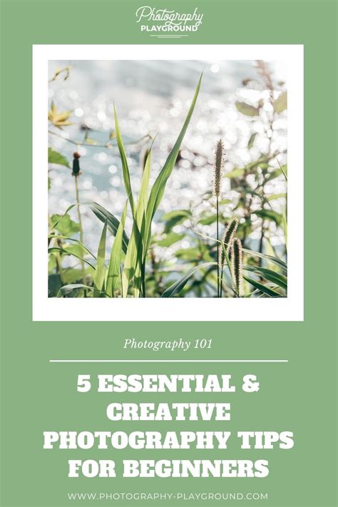 beautiful creative photography tips guide tutorial tutorial inspiration tips collection