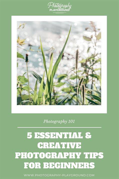 beautiful creative photography tips tutorial tutorial collection tutorial tips inspiration