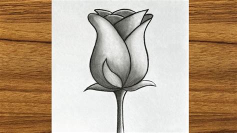 Beautiful Drawing For Beginners