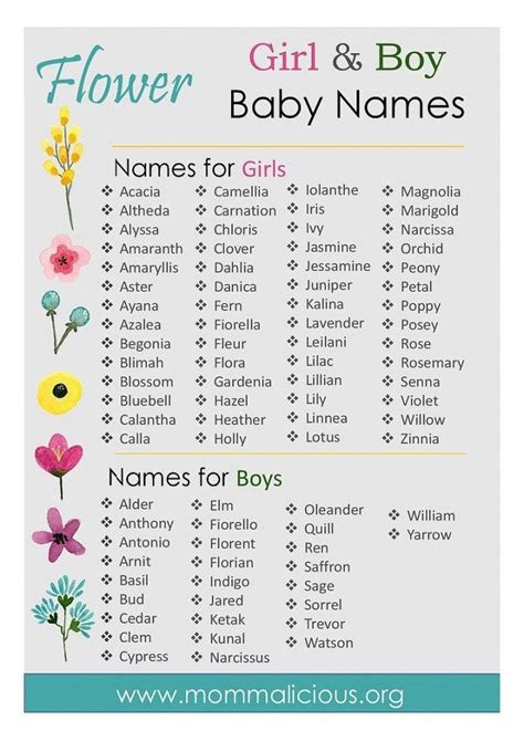 beautiful flower names for boys