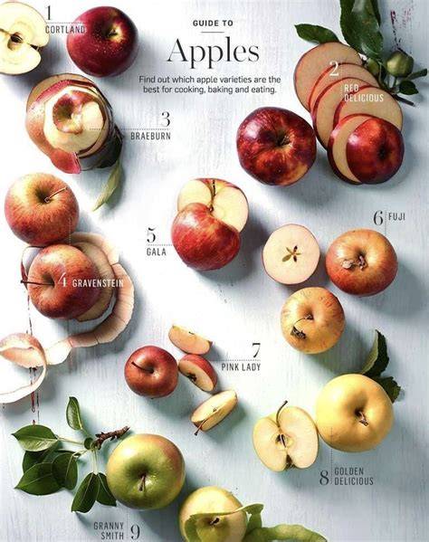 beautiful food recipes guide inspiration tutorial tips tutorial