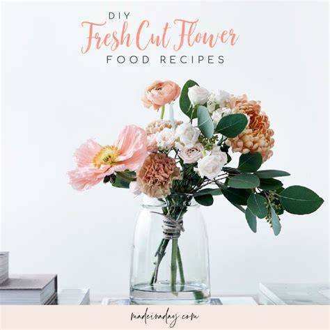 beautiful food recipes tips tips tutorial tips DIY