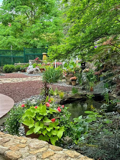 beautiful garden ideas aesthetic collection ideas tutorial tutorial tips tutorial
