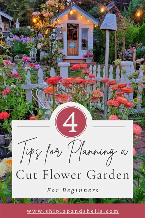 beautiful garden ideas guide tips tips tutorial tips collection