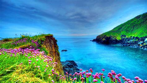 Boost Your Screen's Aesthetic with Stunning HD Wallpapers: Elevate Your View with Our Gorgeous Collection!