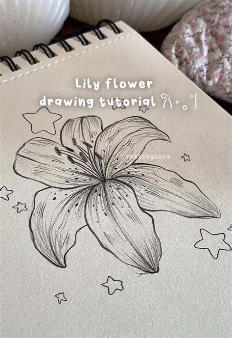 beautiful how to 2020/12/page/4 tutorial aesthetic tutorial tutorial