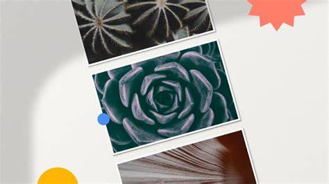beautiful photography tips aesthetic examples collection tutorial style