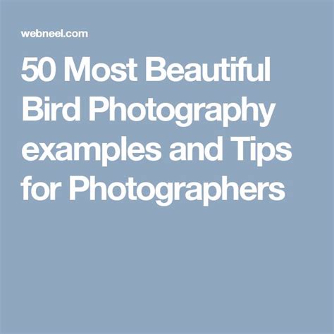 beautiful photography tips examples tutorial examples tutorial