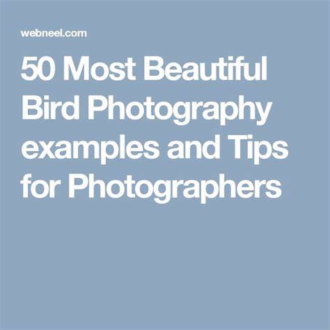 beautiful photography tips tutorial examples tutorial examples style tutorial tips design