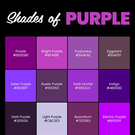 Beautiful Purple Color Code