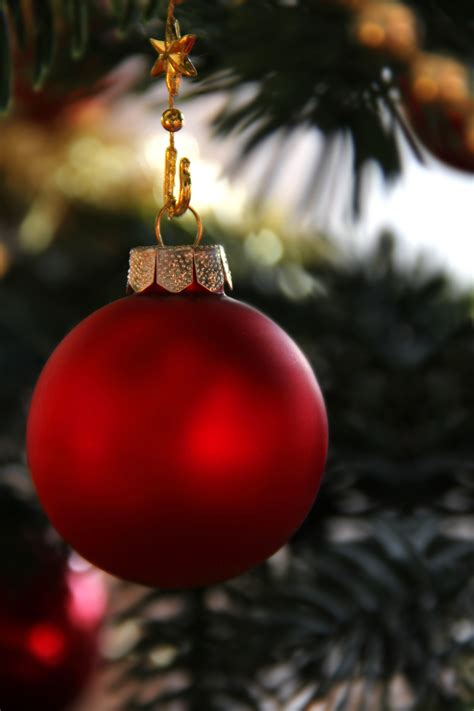 beautiful red christmas ornaments