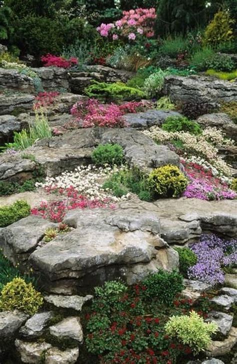 beautiful rock garden images