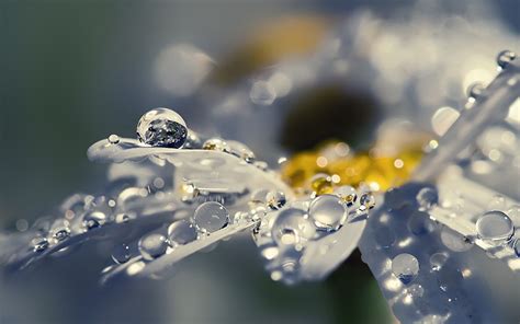 beauty in the raindrops