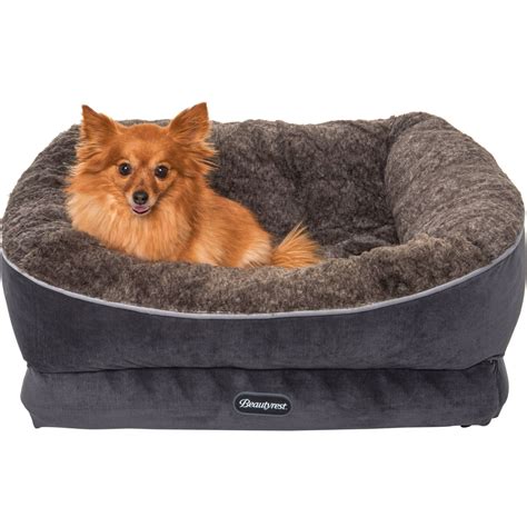 beautyrest ultra plush dog bed