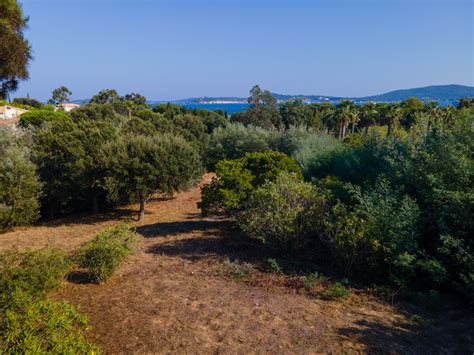 Beauvallon Bartole Grimaud