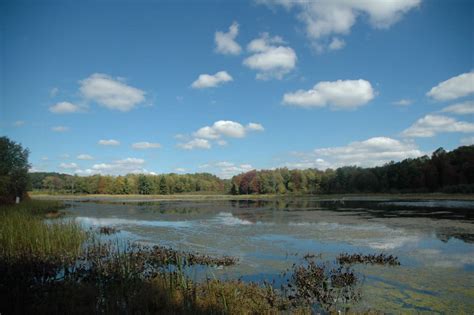 Beaver Meadow North Java Ny