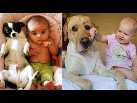 Pin on Woa Funny videos