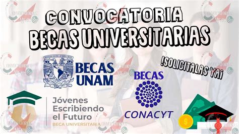 beca para universitarios 2024