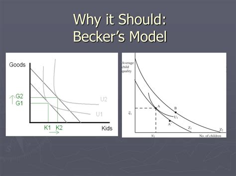 Becker's Model