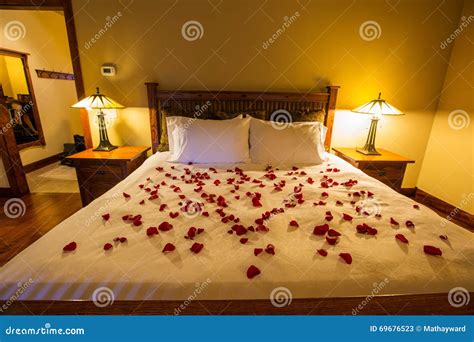 Bed And Rose Petals