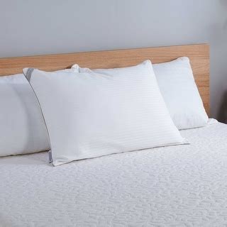 Bed Bath Beyond Indulgence Pillow