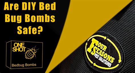 bed bug bombs for bedroom