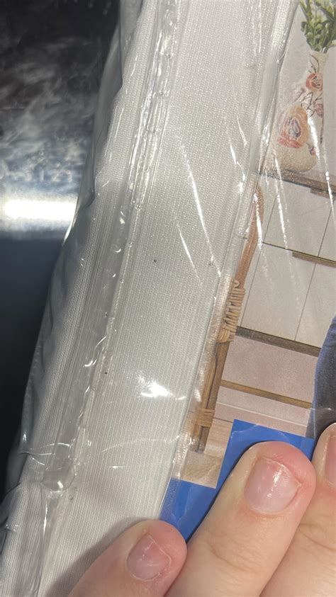 Bed Bug Cover Reddit