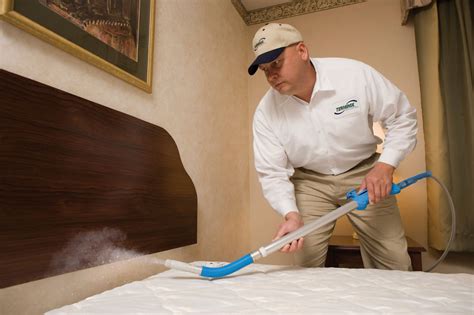 Bed bug exterminator