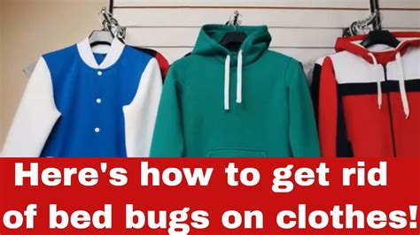 Bed Bug Hide In Clothes
